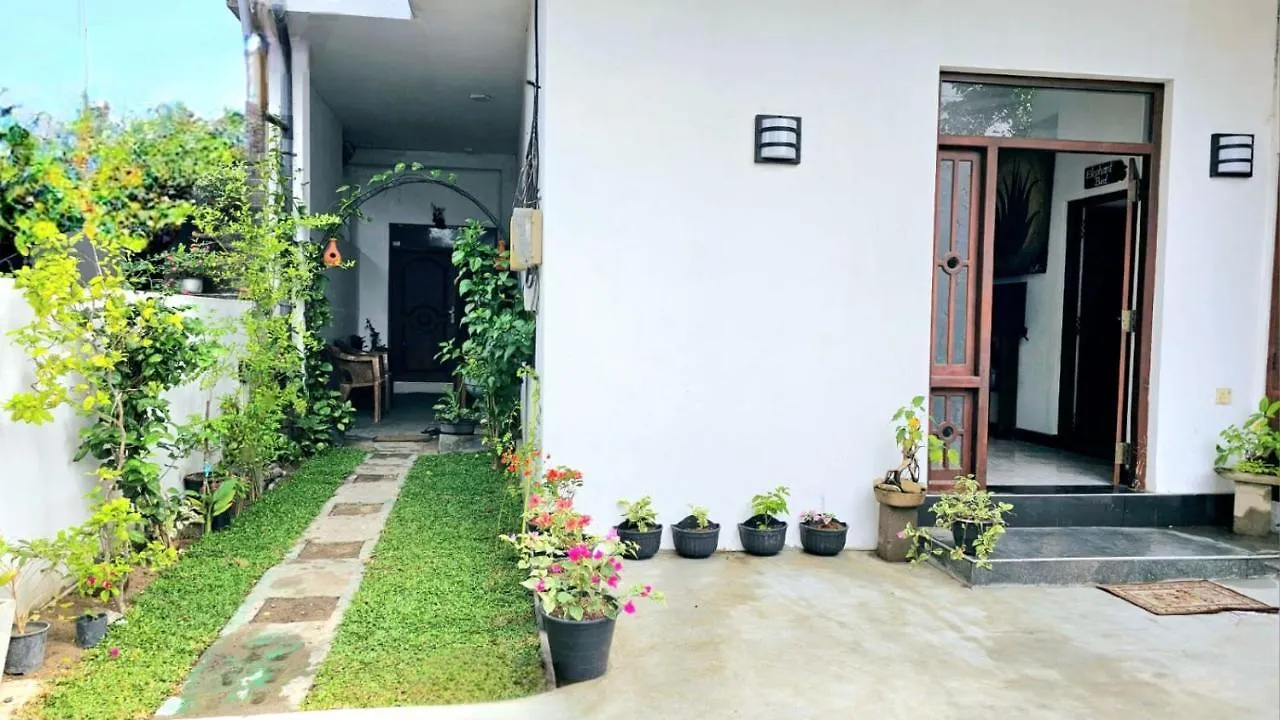 Aloe Vera Villa 尼甘布 0*,