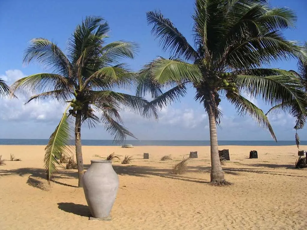 Gasthuis Aloe Vera Villa Negombo Sri Lanka